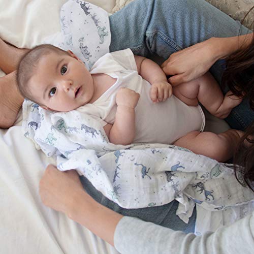 Image of aden + anais Swaddle Blanket, Boutique Muslin Blankets for Girls & Boys, Baby Receiving Swaddles, Ideal Newborn & Infant Swaddling Set, Perfect Shower Gifts, 4 Pack, Rising Star