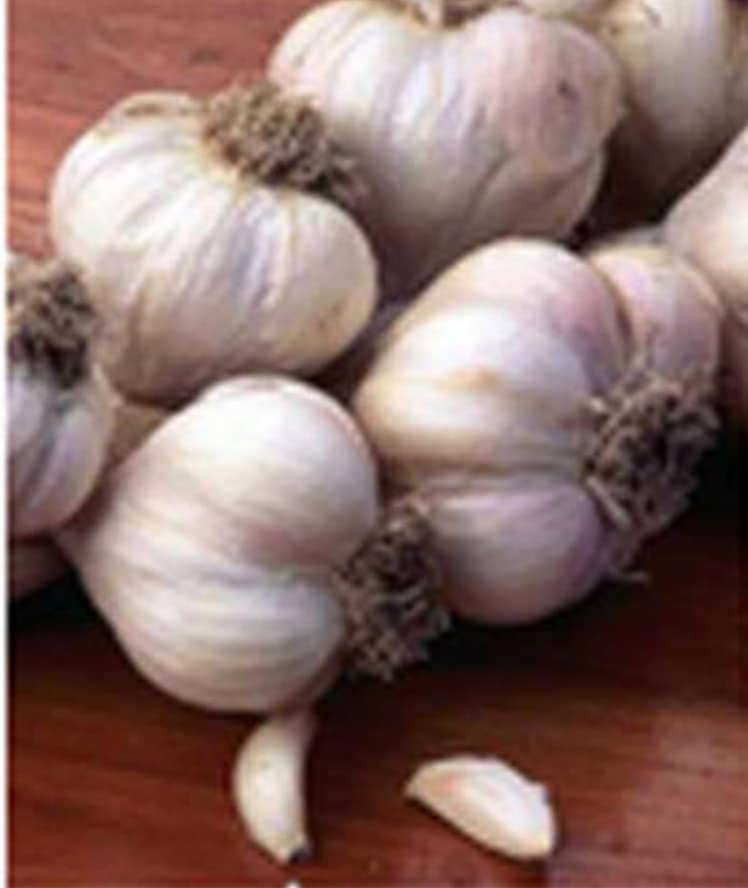 Kohinoor Hub Grade A Quality KOSHUR LAHSUN (KASHMIRI GARLIC) 100% Fresh & Natural Organic whole Clove Sun Dried Pure Kashmiri Garlic | (2kg) (B0C71KGBH5) Amazon Price History, Amazon Price Tracker