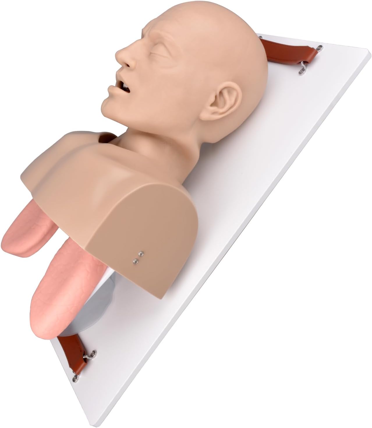 Intubation Manikin Kit, Emergency Airway Management Trainer Kit, Adult NPA& OPA Kit with Full-Featured Airway Simulation for EMS Training, Intubation & Ventilation
