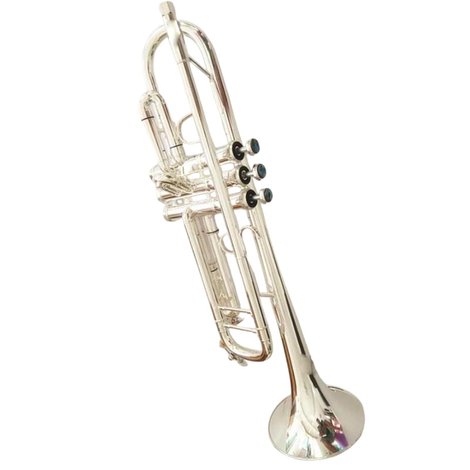 Professional Trumpet Trompeta de nivel profesional