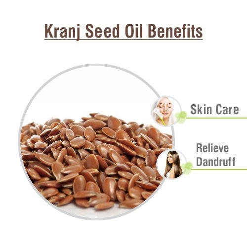Image of Crysalis Kranj Seed (Pongamia Pinnata) |100% Pure & Natural Undiluted Carrier Oil Organic Standard /Glowing Skin, Healthy Hair, Nourished Face, Maintain Clear Skin 15ML With Dropper