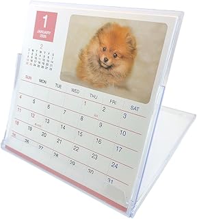 2026年1月始まり イヌ 卓上カレンダー アクリルスタンド 14×13.3×14cm デスク用