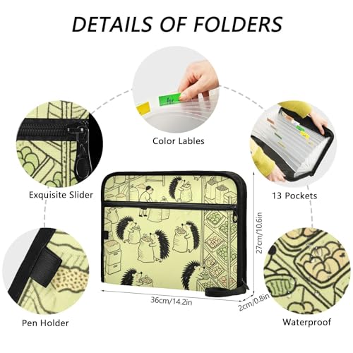 Carpeta clasificadora A4 organizador de papel de 13 bolsillos archivador con cremallera verde 3