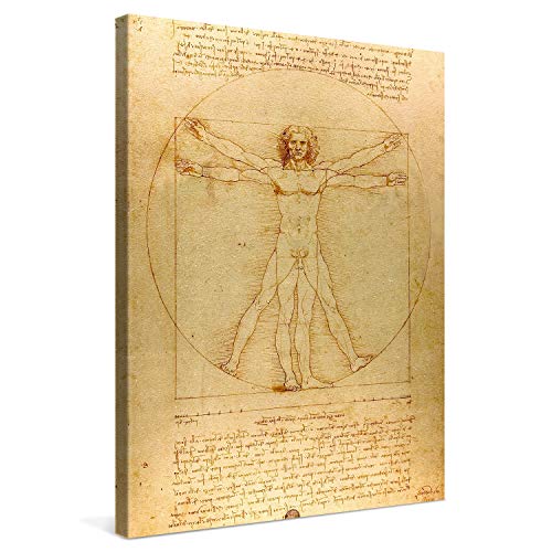 PICANOVA – Leonardo da Vinci – Homme de Vitruve 60x80cm – Photo sur Toile – Impression sur Toile Haut de Gamme – Image sur Toile pour Décoration Murale Moderne – La Collection Art Classique
