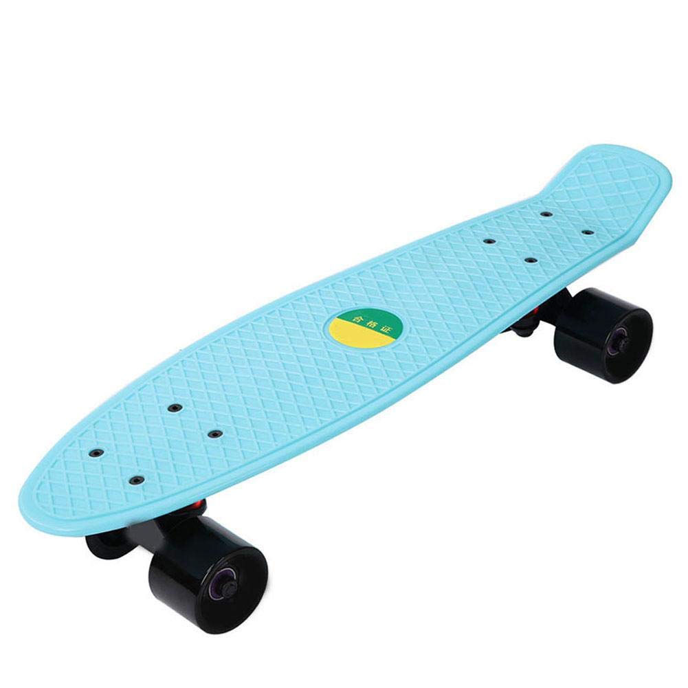 Alomejor Skateboard 22Inch Children Adult Skate Board with 4 Wheels Complete Mini Cruiser Long Skate Board