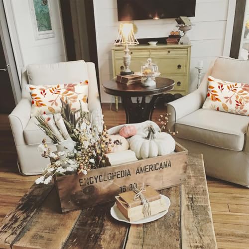 Image of Fall Pillow Covers 12x20 inch Orange White Fallen Leaves Decorative Outdoor Lumbar Throw Pillow Covers Autumn Thanksgiving Farmhouse Decoration for Home Couch(42-12)
