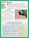 Patios: Designing, Building, Improving, and Maintaining Patios, Paths and Steps (Creative Homeowner) (Specialist Guide)