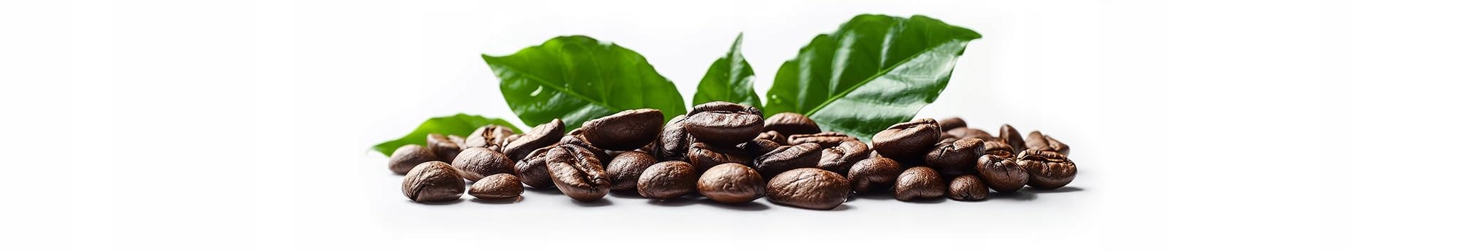 SkimaCoffee Café en grano 2 x 1 kg COLOMBIA 100% Arábica recién tostado