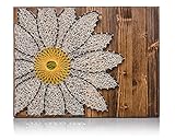 DIY String Art Kit - Daisy String Art, DIY Kit, Crafts Kit, Daisy Art, Daisy Lover Gift, Daisy Gift Ideas, Daisy Decor, w/Supplies and Wood
