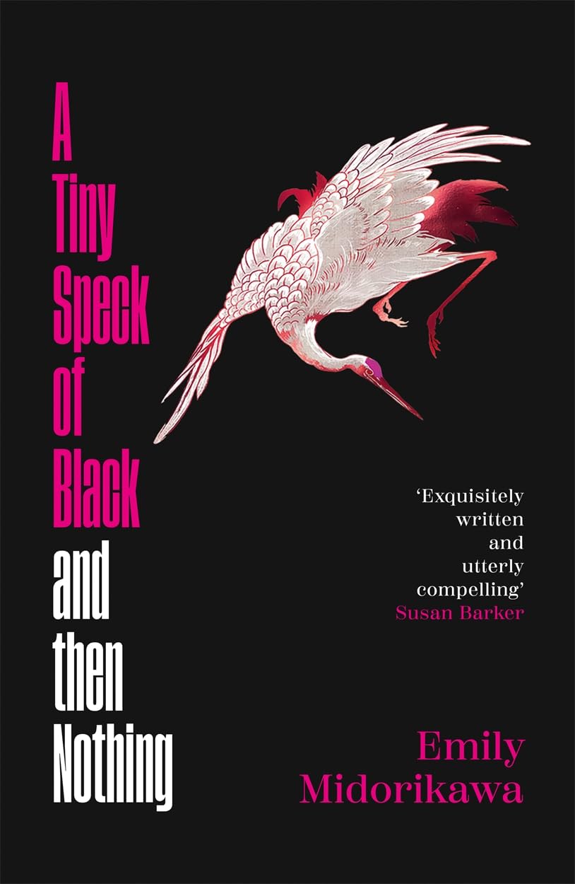 Tiny Speck Of Black & Then Nothing
