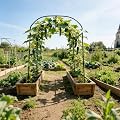 Tall Garden Arch Trellis for Climbing Plants Outdoor,7 ft Arbor Large Arch Tunnel Trellis, Metal Cucumber Trellis, Plant Support Archway Garden Trellis for Vegetables Yard (71.2''L*47.2W*83.1''H)