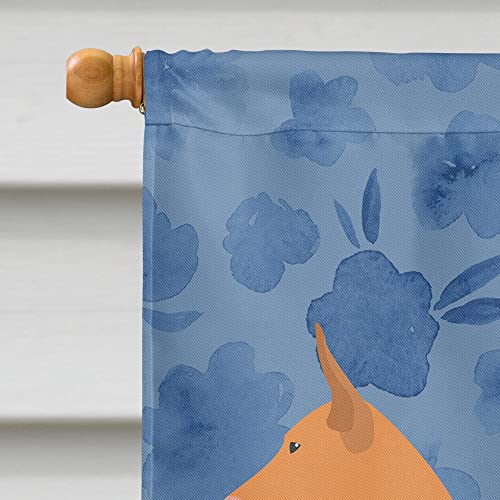 Pharaon Hound grand drapeau canvas multicolore pour décoration extérieure