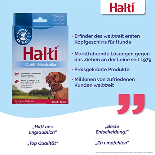 HALTI Optifit Kopfgeschirr, Größe Klein- Verhindert, dass Ihr Hund an der Leine zieht, Einfache Anpassung, Leicht, mit gepolstertem Nasenriemen, Anti-Zug-Halsband für kleine Hunde