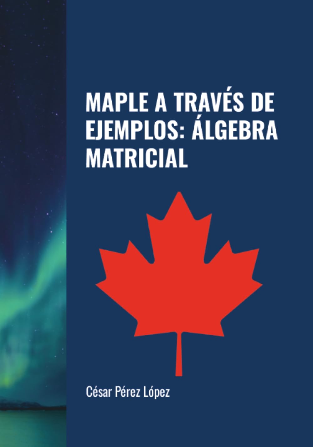 MAPLE A TRAVÉS DE EJEMPLOS: ÁLGEBRA MATRICIAL