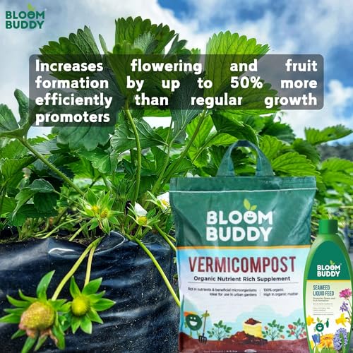 Image of Bloom Buddy Vermicompost 4.5kg & Seaweed 200ml Combo - Enrich Soil & Naturally Fertilize Plants