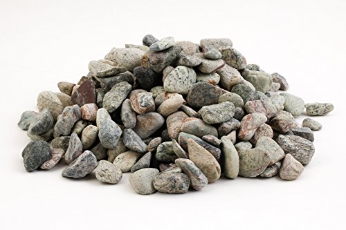 STONE STORIES Rainforest Decorative Landscaping And Garden Stone 0.9Kg (Green) - Extra Small Size -1/2-1" In Size