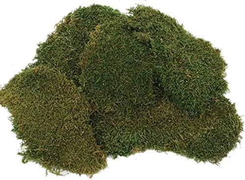 Moss de reno conservado Bolsa de 2 oz