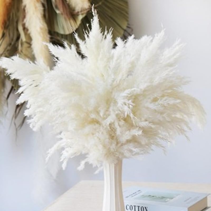 Pampas Grass 45cm Multicolor Pack de 5 miniatura 4
