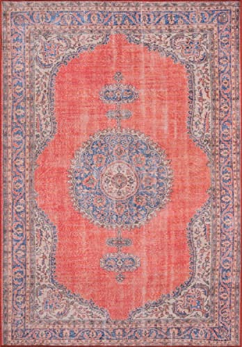 Momeni Rugs Afshar Traditional Medallion Area Rug x, 2'3