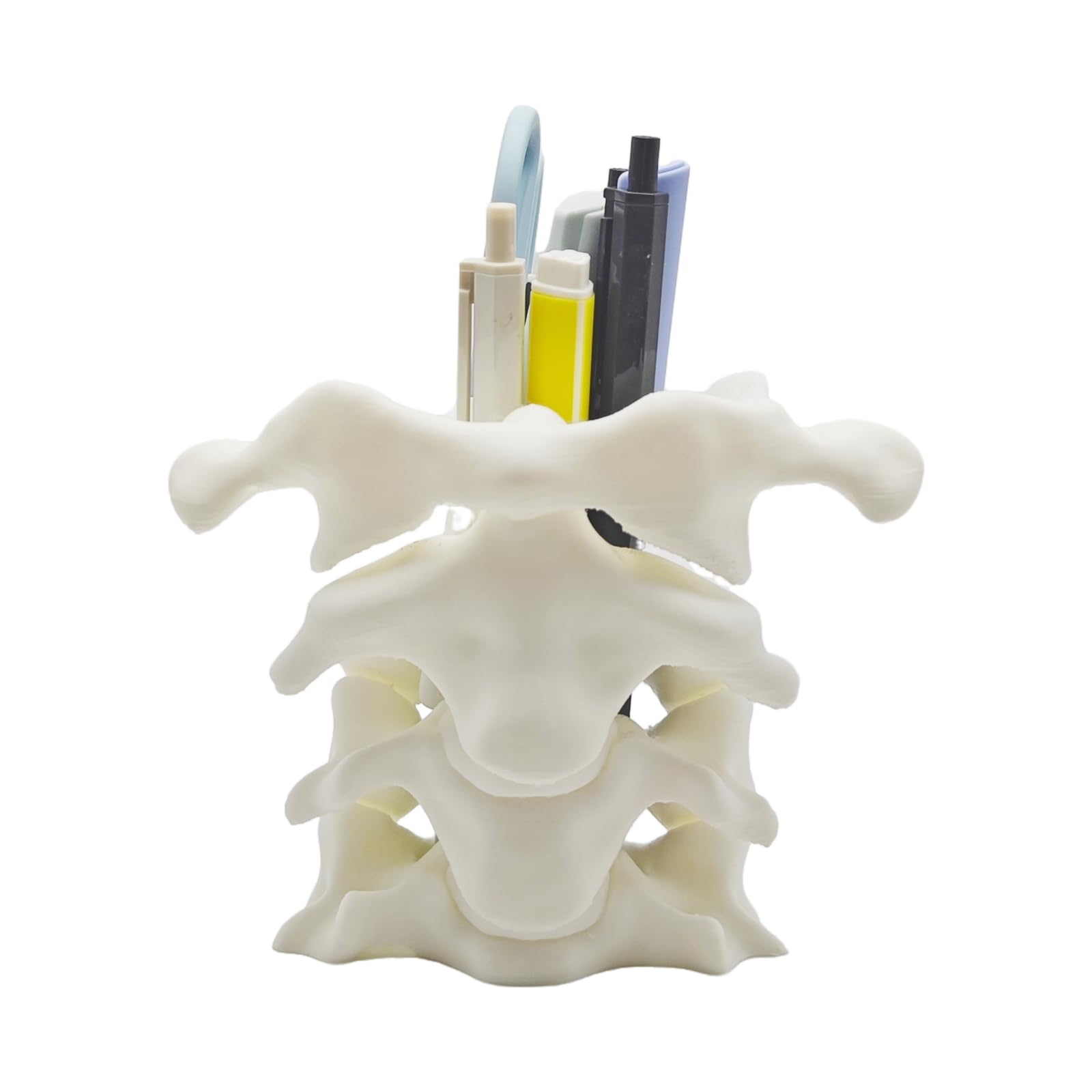 TIME&TRAVE Unique Spine Pen Holder for Desk, Pencil Holder Desk Organizers, Office Supplies Decorations Idea Gift for Doctors, Nurses, Chiropractors