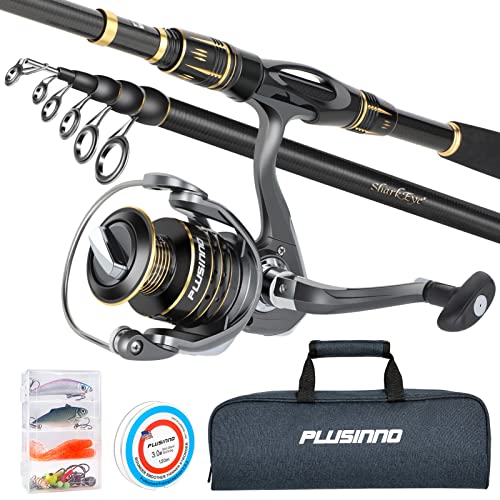 The 5 Most Expensive Fishing Rods in the World Guide)