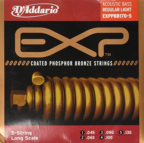 D’Addario EXPPBB170-5 Set de cordes Basse acoustique .045 .065 .080 .100 - Les Beatles, Paul McCartney, John Lennon, RIngo Starr, George Harrison D'Addario EXPPBB170-5 Set de cordes Basse acoustique .045 .065 .080 .100