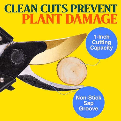 Image of Haus & Garten ForgedPRO 8.75 inch Heavy Duty Professional Titanium Bypass Pruning Shears - Use As Pruners, Garden Shears, Handheld Pruning Shears For Gardening, Clippers, Garden Scissors, Pruner Tool