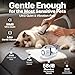 buenkee Dog Grooming Kit with Vacuum, 15000Pa Pet Hair Clipper and Shedding Brush, 50dB Low Noise, 2L Capacity, White