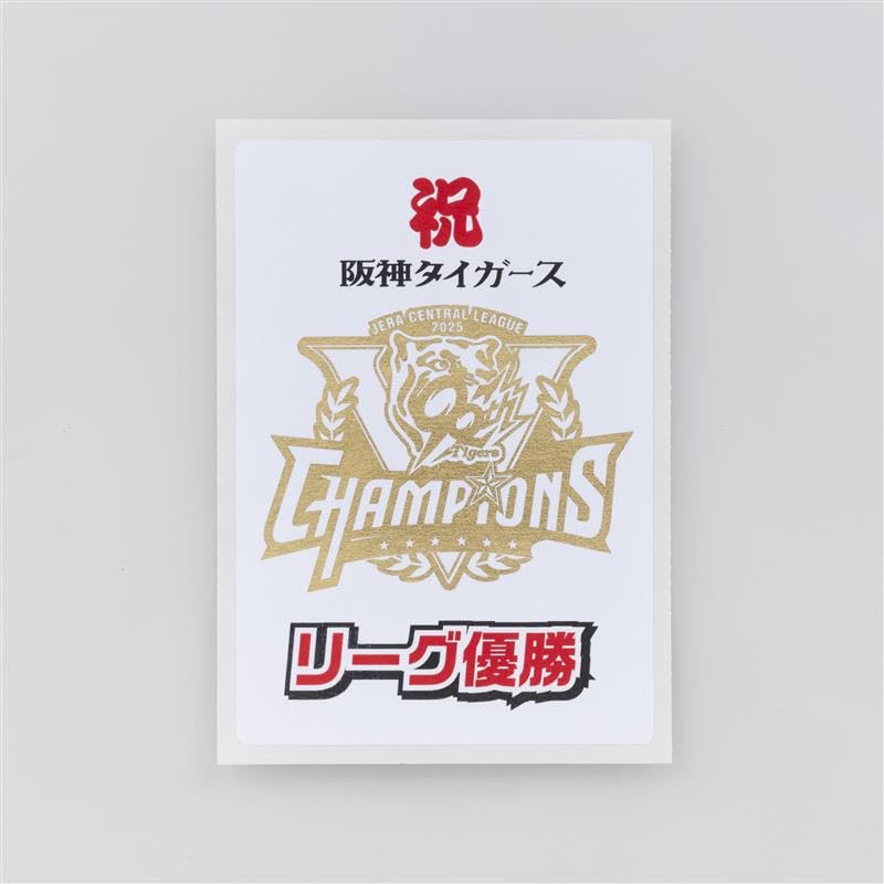 HANSIN TIGERS PHOTOBOK 2025 阪神タイガース フォトブック 2025 公式