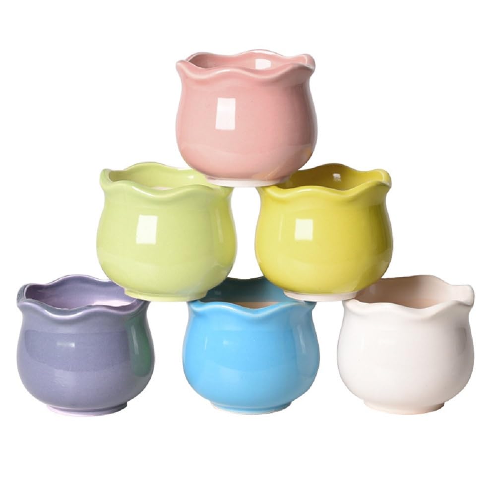 Macaron Ceramic Succulent Pots, Set of 6