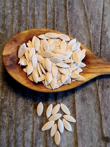 Image of Cucumber /Desi Kheera Seeds for Planting, High Yielding Seeds | 50 seeds per pack