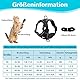 Verstellbares Katzengeschirr Ausbruchsicher, Katzengeschirr mit Leine Set, Softgeschirr für Katze Brustgeschirr für Katzen Kitten Hunde Welpen (Schwarz -M)