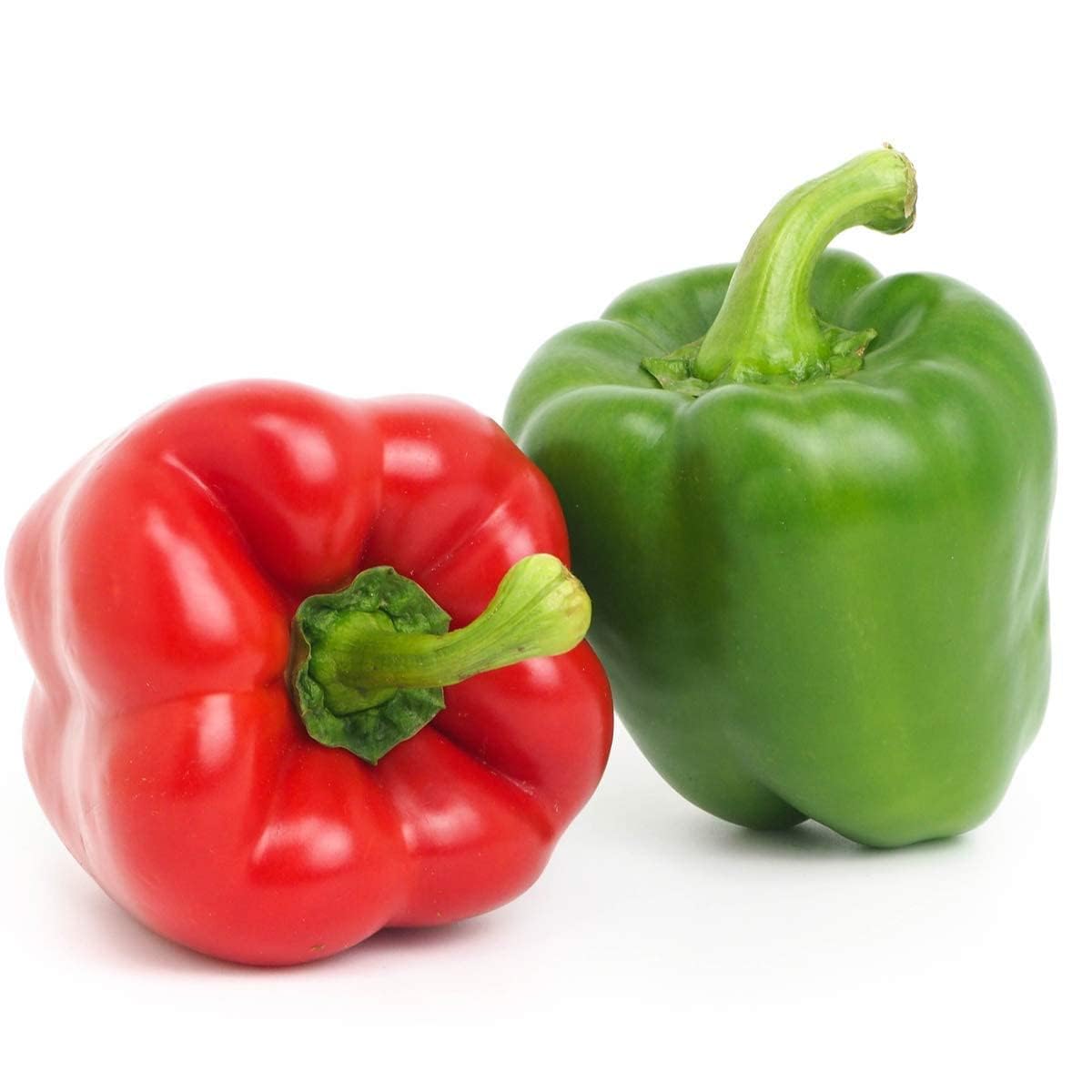 Sweet Pepper Plants, 'Bellboy', Full Plants in 9cm Pots, Bell Peppers, Vegetable Plants, Capsicum, Sweet Peppers, Garden Ready and Ready to Plant, Premium Quality Vegetables (2)