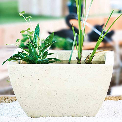 Preisvergleich Produktbild Heissner 015159-00 Wassergarten-Set Sandstein