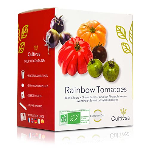 CULTIVEA® Mini - Kit Prêt à Pousser Tomates colorées - Graines 100% biologiques - Jardinez et dégustez - Idée cadeau (Black zebra, Green Zebra, Hawaiian Pineaple,Coeur de boeuf, Physalis Ixocarpa)