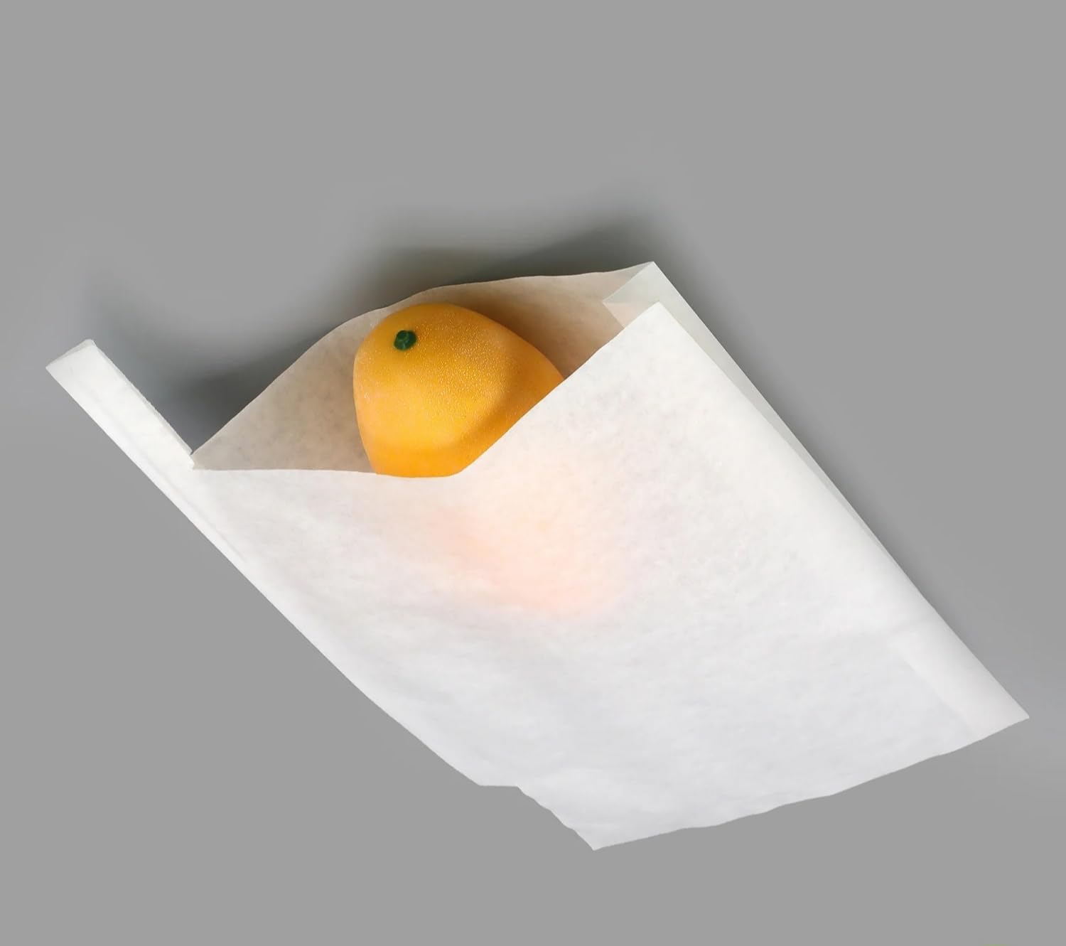 Guava Fruit Protection and Growth Covers, 20x24 CM, Pack of 100-picture-24