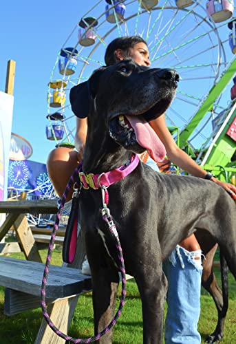 Black Rhino Guinzaglio resistente per cani con