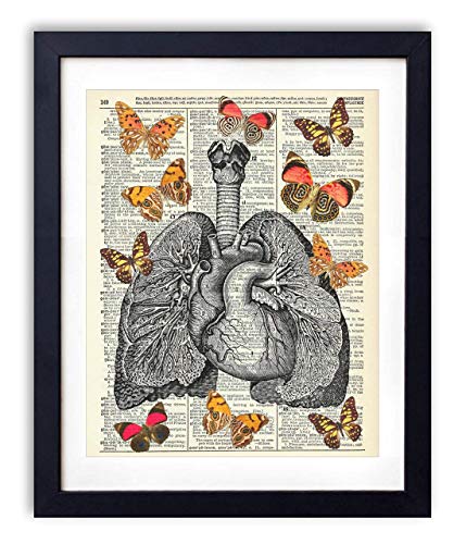 Vintage Anatomy Illustration Art, Dictionary Print, Antique Wall Art Home Decor, Modern Boho, Medical Posters, Farmhouse Decoration 8x10 Inches, Ready To Frame (Lungs with Butterflies)