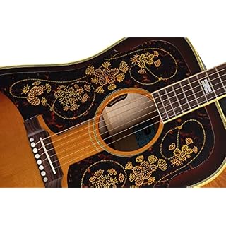 Epiphone Chris Stapleton Frontier Modèle Guitare folklorique – Image 3