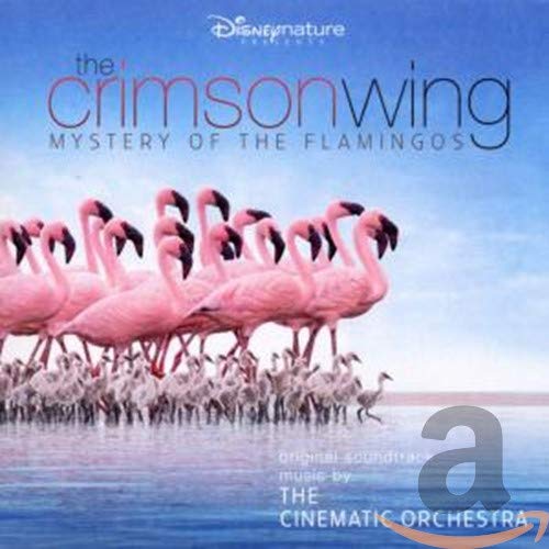 the crimson wing-mystery of the flamingos