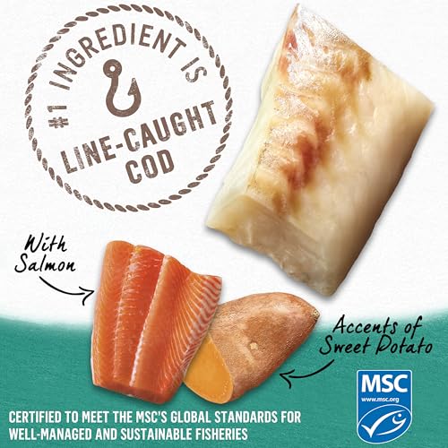 Beyond Natural Wet Dog Food, Alaskan Cod, Salmon & Sweet Potato Ground Entree - 368 g Can (12 Pack) image 8