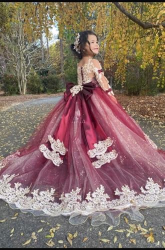 Lace Flower Girl Dresses for Wedding Long Train Sparkly Tulle Elegant with Bow First Communion Dresses4