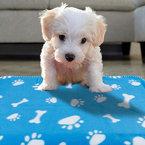 Prsildan Dog Blankets, Warm Fleece Puppy Blankets Pet Throws for Dogs Bed Covers 24 x 28 Inches (4 Packs) - Image 5