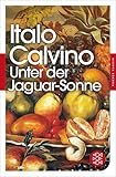 Unter der Jaguar-Sonne: Drei Erzählungen (Fischer Klassik) - Italo Calvino Übersetzer: Burkhart Kroeber 