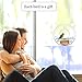 Birdious Circular Window Bird Feeder House: Bring Wild Birds Up Close. Strong Suction Cups and Removable Tray. Clear, See Through, Large Birdfeeder for Outside. Best Gift Idea