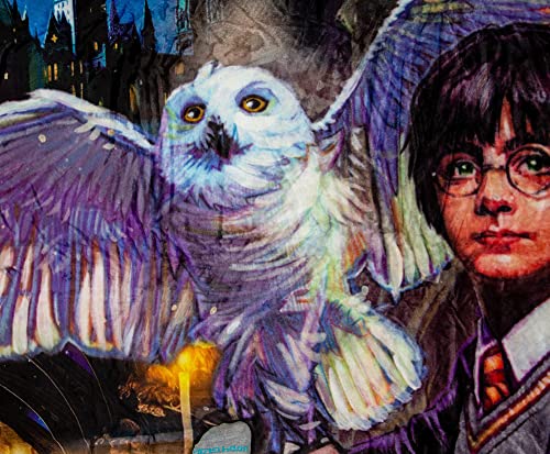Couverture Harry Potter haut de gamme en polyester Silk Touch