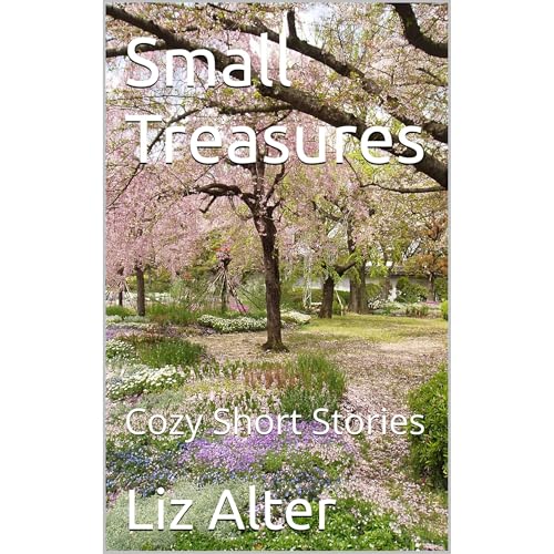 Small Treasures by Liz Alter episode artwork