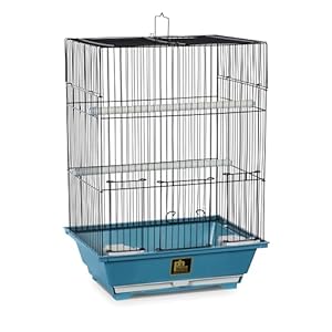Prevue Pet Products SP50021 Slate Bird Cage, Small, Blue