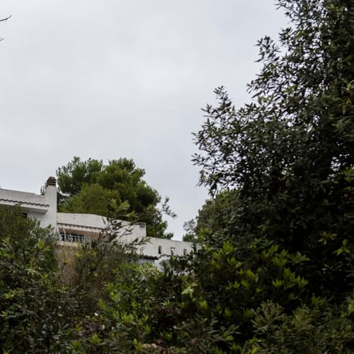 Il massacro del Circeo. Linguaggio e cultura cinquant'anni dopo copertina