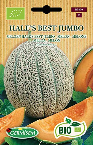 Germisem Orgánica Hale s Best Jumbo Semillas de Melón 2 g